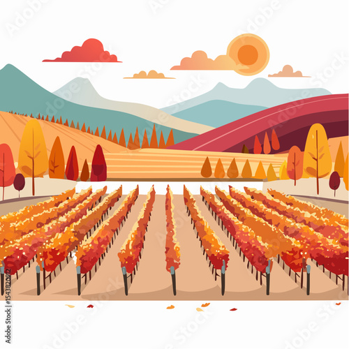 vector colorful vineyard in autumn