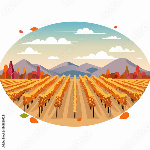 vector colorful vineyard in autumn