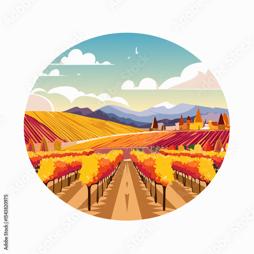vector colorful vineyard in autumn