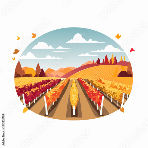 vector colorful vineyard in autumn