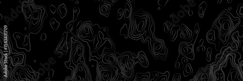 Abstract black and white topographic map illustration in vector style, showing contour lines, curves, and mountain ranges. Seamless pattern inspired by physical geography and terrain relief.