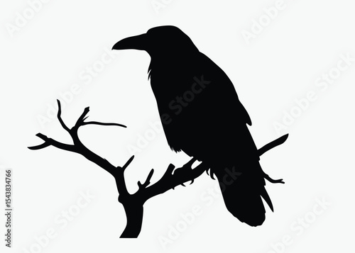 Crow on tree branch, bird silhouette vector, perched black and white illustration, spooky clipart, white background