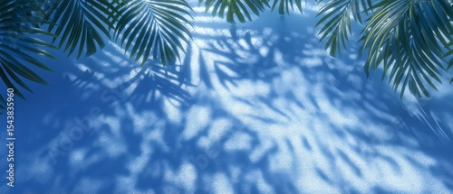 Summer Palm Leaf Shadows on Blue Wall  Tropical Background