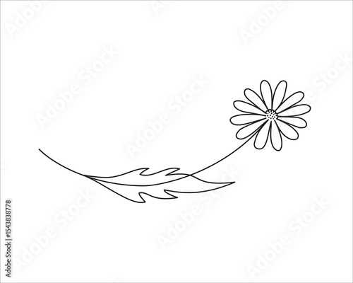 Abstract chamomile line art. One sketch plant. Tattoo element. Outline floral vector illustration.