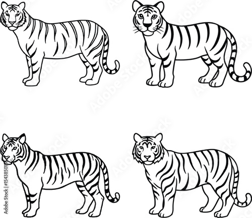 Set of Detailed Line Art Tiger Set on a white background
