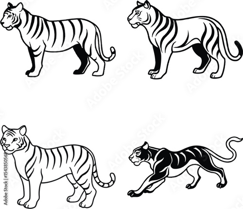 Set of Detailed Line Art Tiger Set on a white background
