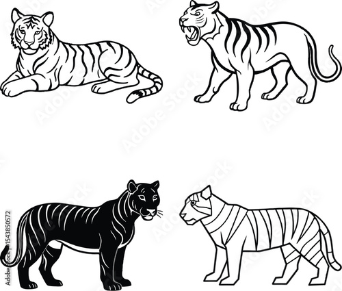 Set of Detailed Line Art Tiger Set on a white background
