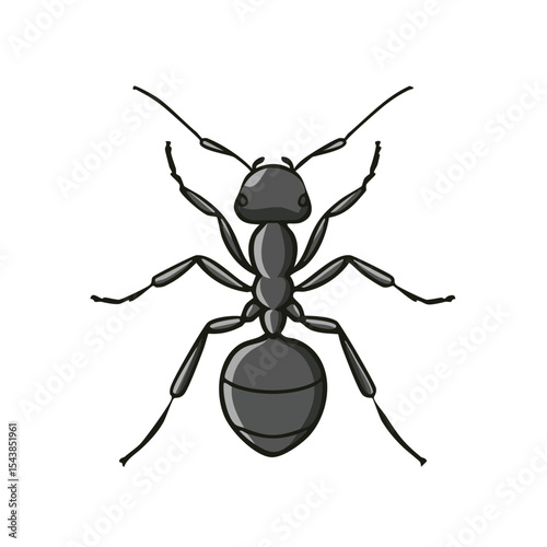 Isolated black ant graphic illustration on a black background with detailed legs and antennae