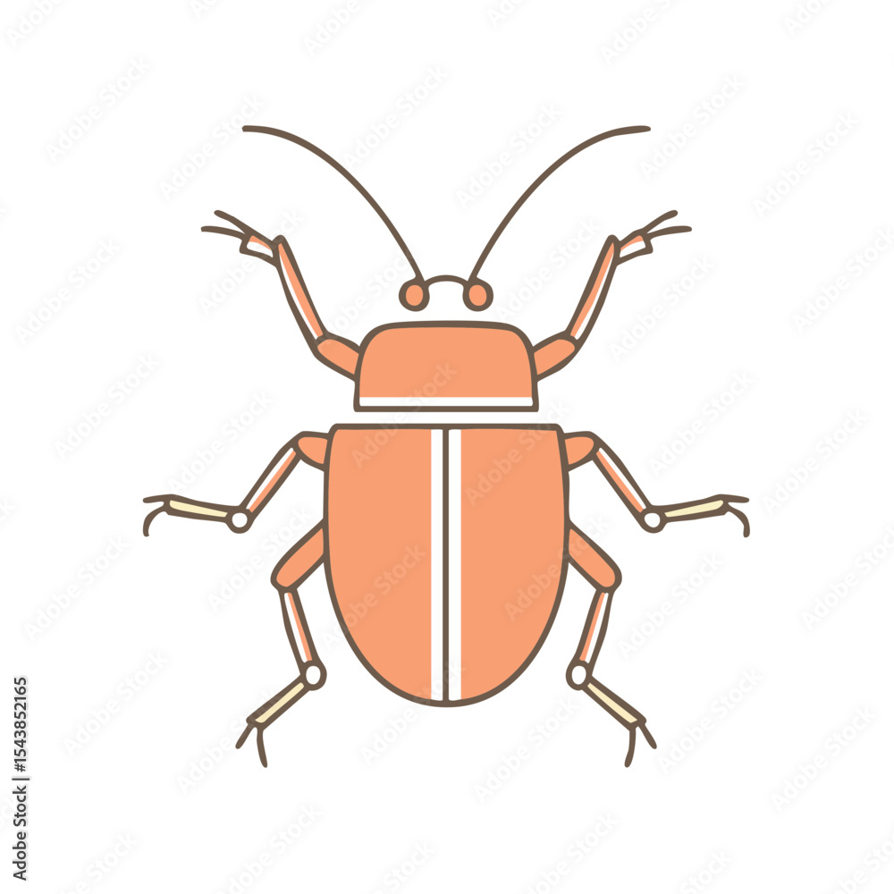 Illustrated beetle insect on black background. Flat design bug vector illustration. Simple graphic cute beetle drawing in peach tones. Illustrated beetle insect on black background. Flat design bug vector illustration. Simple graphic cute beetle drawing in peach tones.