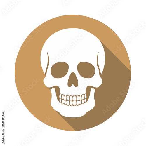 Isolated White Skull Icon on Tan Circle with Long Shadow Halloween Horror Symbol Death Mortality Danger Skeletal