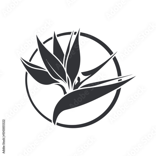 Stylized Black and White Bird of Paradise Flower Design
