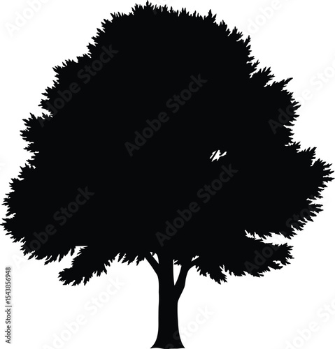 Minimal Tree Silhouette in Flat Design Style
