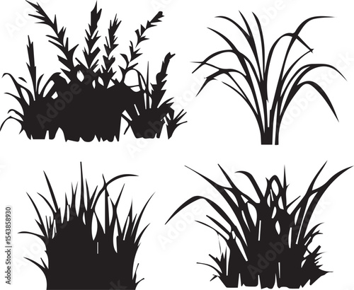 silhouettes of bamboo leaves