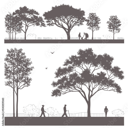 trees in the park