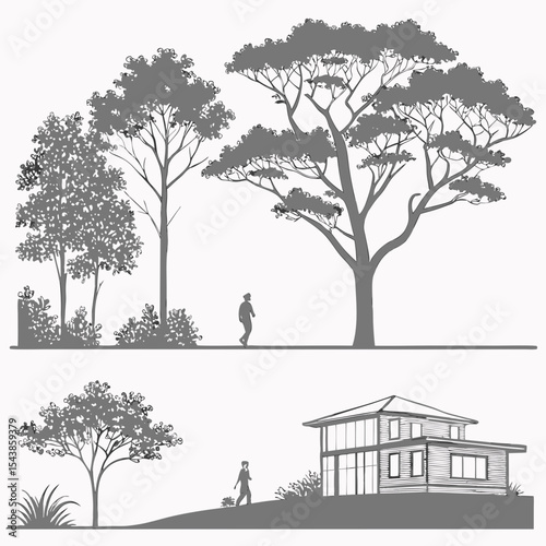 set of vector trees