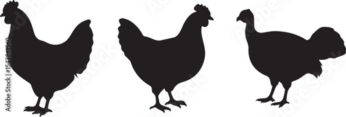 silhouette of a chicken