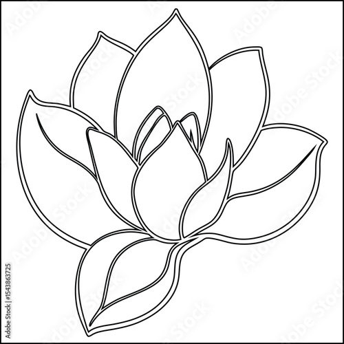 Minimalist line art drawing of a magnolia flower