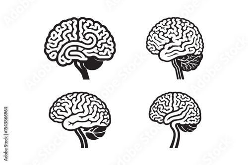 Four views of a human brain illustration