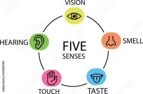 Five Senses Vector Icon Collection