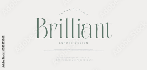 Brilliant Elegant beautiful classic classy modern serif alphabet font typeface typography. Vector Illustrator.	
