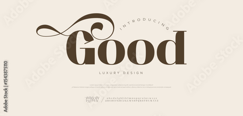 Good Elegant alphabet beauty logo font. Classic beautiful Modern luxury Serif Letter Minimal Fashion. vector illustration
