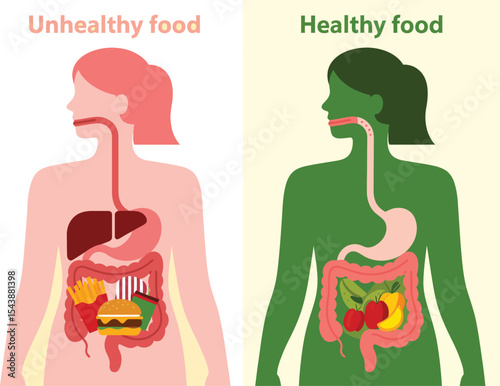 comparative human digestive system illustration showing impact of unhealthy versus healthy food choices on internal body organs