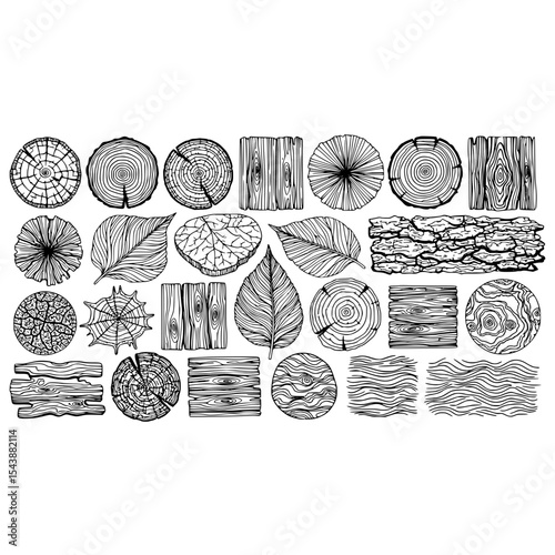 Wood texture leaf nature bark tree vector pattern background wooden design forest plant drawing element