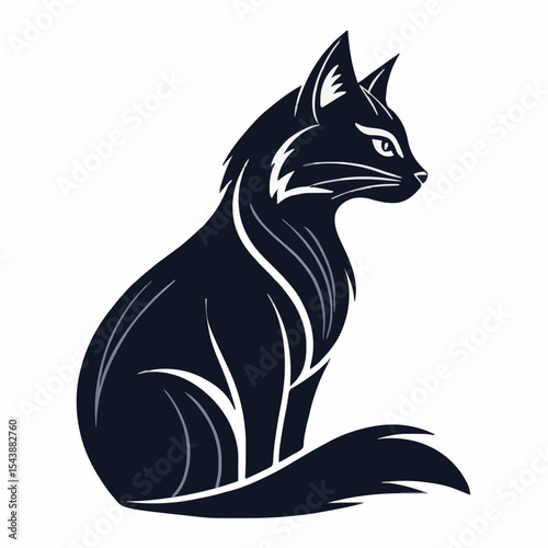 black and white cat