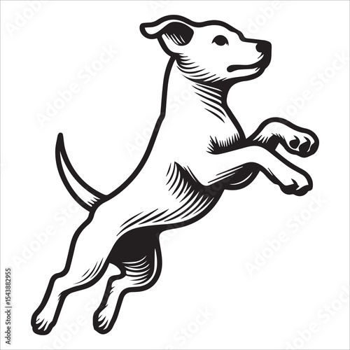 Jumping Dog Line Drawing Vector Illustration