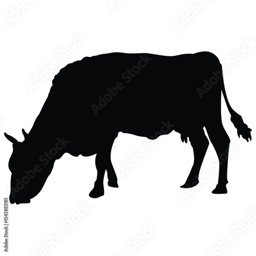 sillouette bull vector isloated on white background
