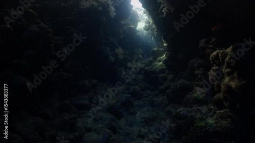 Wallpaper Mural Exploring Underwater Caves in Scuba Diving in Egypt Torontodigital.ca