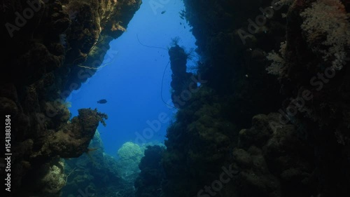 Wallpaper Mural Exploring Underwater Caves in Scuba Diving in Egypt Torontodigital.ca