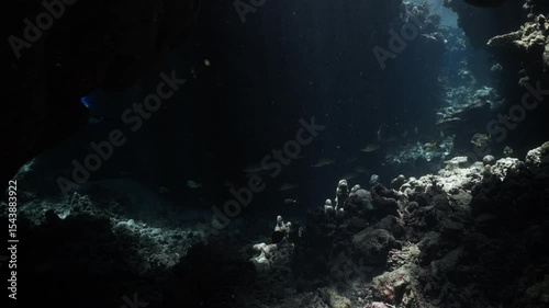 Wallpaper Mural Exploring Underwater Caves in Scuba Diving in Egypt Torontodigital.ca