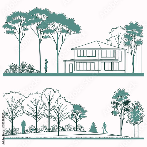 Minimal style cad tree line drawing, Side view, set of section garden, wetland forest outline for landscape design drawing. Vector illustration 