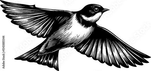 Graceful bird in flight with extended wings and fanned tail for nature and wildlife design