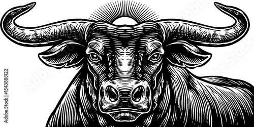 Majestic bull with sun disk and decorated horns in black line art