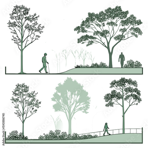 Minimal style cad tree line drawing, Side view, set of section garden, wetland forest outline for landscape design drawing. Vector illustration 