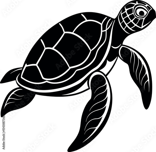 sea turtle swimming vector Shallotte on white background