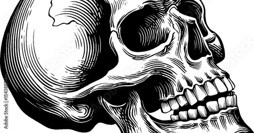 Anatomy of a child's skull with developing teeth in black and white design