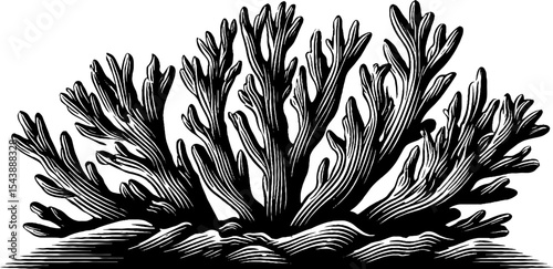 Coral texture with branching holes and reef cracks for nature design
