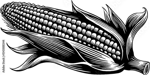 Black and white corn cob with husk illustration for design projects
