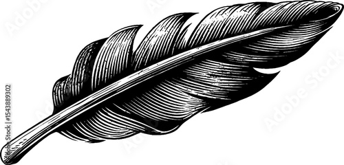 Intricate quill with whirling wind patterns for artistic design