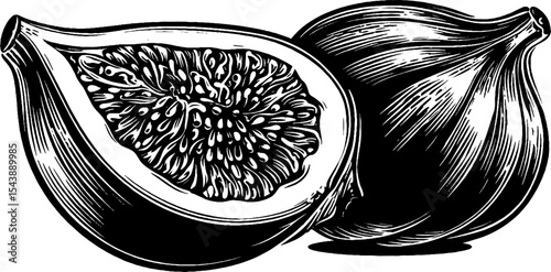 Black and white fig illustration highlighting detailed seed structure for botanical design