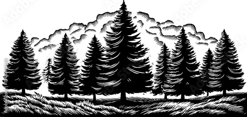 Tranquil foggy morning in a black and white forest scene with pine trees and mountains