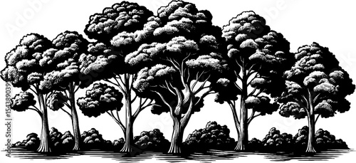 Tranquil foggy morning in black and white forest with detailed trees