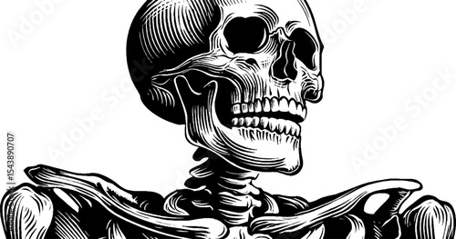 Detailed human skeleton in black and white standing upright for anatomy studies