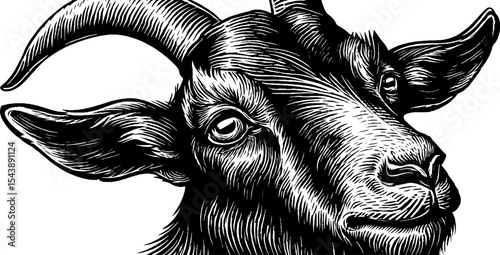 Intricate goat portrait with curved horns and spiral mark in black line art
