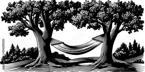 Serene black and white nature scene with a hammock between two trees