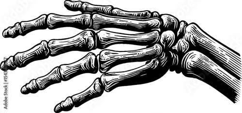 Hand skeleton with extended fingers in black and white art design