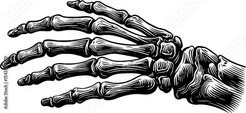 Anatomical hand skeleton with extended fingers in black and white for educational design